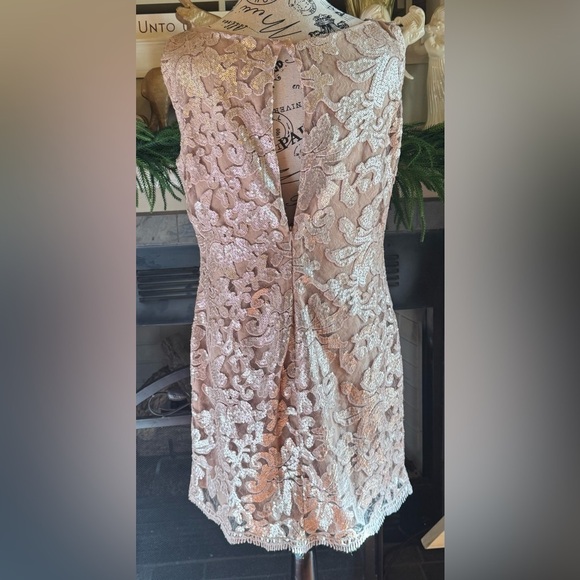 DRESS THE POPULATION Audrey Sequin
Lace Dress Blush Champagne Large Mother Bride - Picture 8 of 10